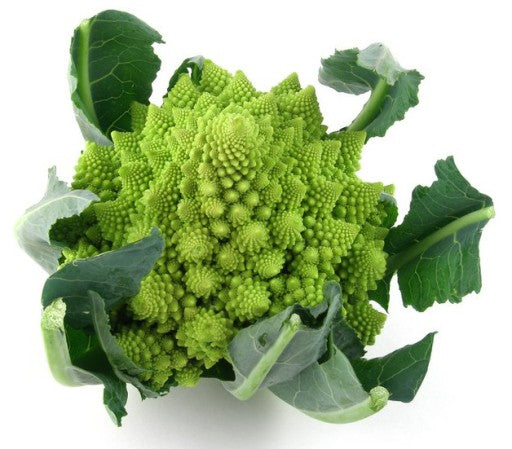 Kalafior Romanesco 1szt
