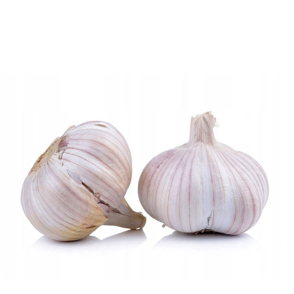 Czosnek hiszpański 1główka