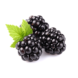 Jeżyna ostrężyna 125g