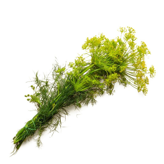 Koper do kiszenia 1szt.