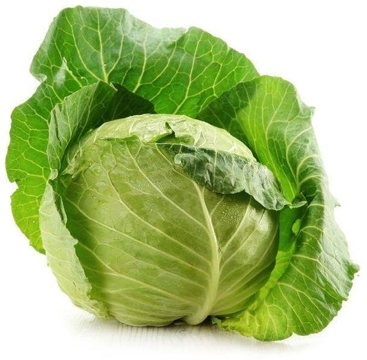 Kapusta Młoda 1szt